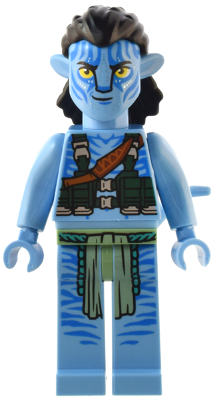 Avatar LEGO minifigure